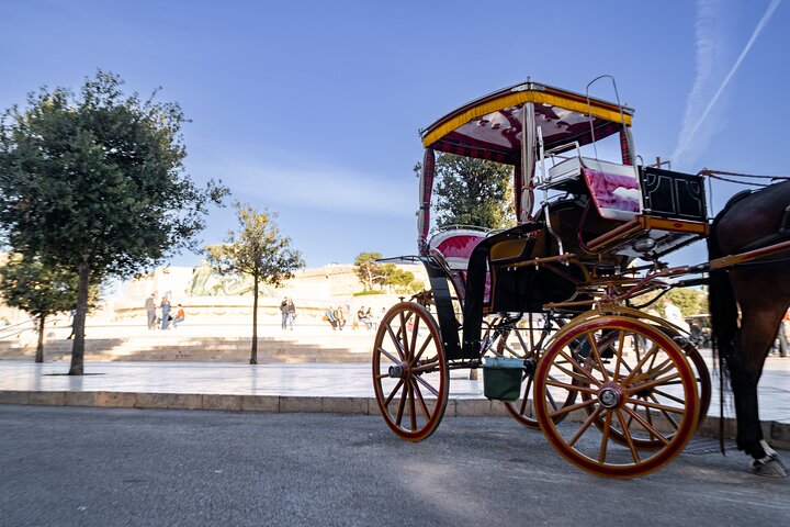 Horse carriage evening private tour in Mdina