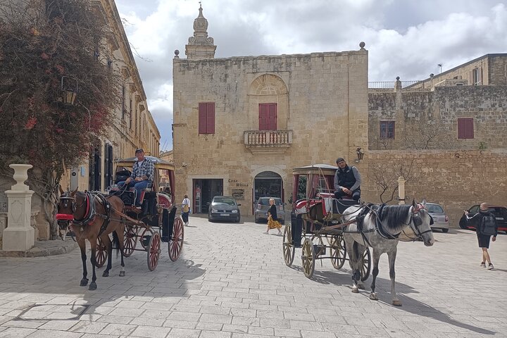 Traditional horse carriage transport in Mdina